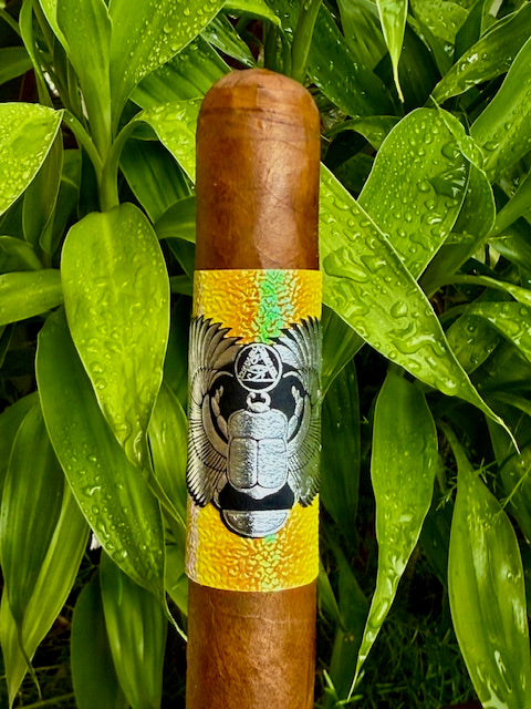 Habano